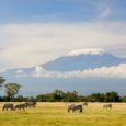 Des Français s'apprêtent à sauter du haut des 5 963 mètres du Kilimandjaro en deltaplane. Les Belges rêvent déjà du scoop...