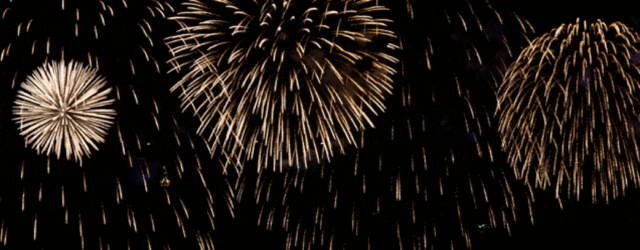 Les douaniers canadiens trouvent des feux d'artifice dans la valise de Margot! 